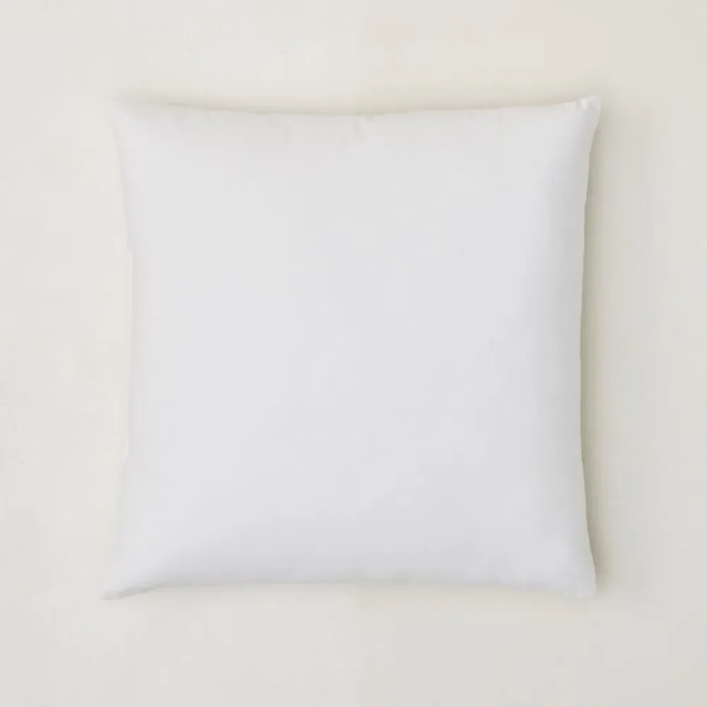 West Elm 18x18 Decorative Pillow Insert